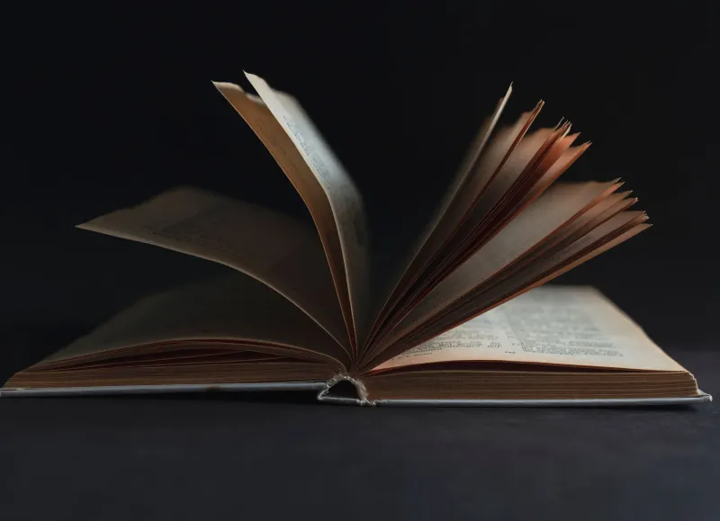 The Last Page Is a Lie: How Dark Fiction Readers Are Turning Abandonment Into an Art Form