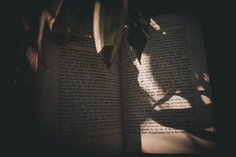 Survival Is Enough: How Dark Fiction Readers Are Calling Out the Lie of Mandatory Growth
